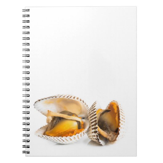 Schelvis Notitieboek (Voorkant)