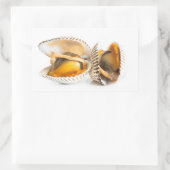 Schelvis Rechthoekige Sticker (Tas)