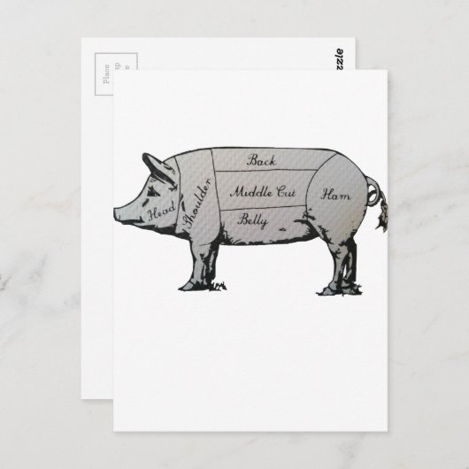 Schema Briefkaart (Voorkant / Achterkant)