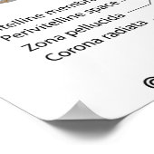 Schema met het opschrift Fertilization Poster (Hoek)