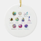 Schema met verschillende soorten virussen keramisch ornament (Voorkant)