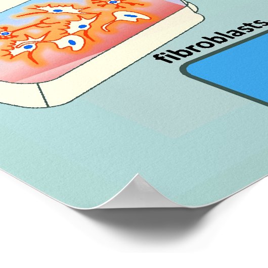 Schema van cellulaire differentiatiemethoden poster (Hoek)