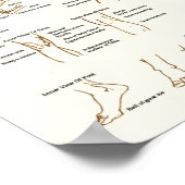 Schema van de anatomie van het menselijk oppervlak poster (Hoek)