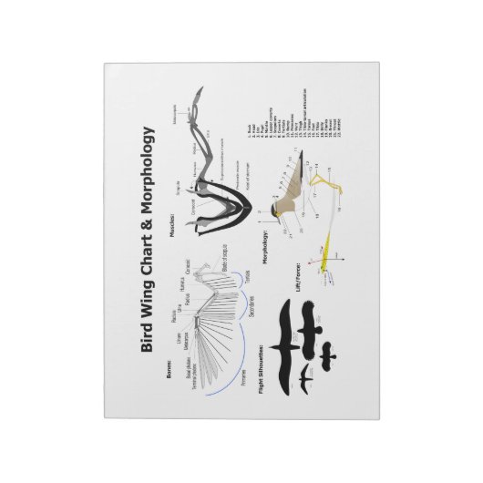 Schema van de anatomie van vogelvleugels notitieblok (Linkerzijde)