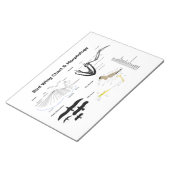 Schema van de anatomie van vogelvleugels notitieblok (Schuin)
