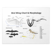 Schema van de anatomie van vogelvleugels notitieblok (Voorkant)