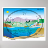 Schema van de biogeochemische koolstofcyclus poster (Voorkant)