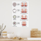 Schema van de biologische plaatsing bij de mens poster (Keuken)