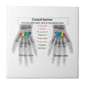 Schema van de botstructuur van het menselijk licha tegeltje (Voorkant)