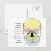Schema van de botstructuur Voorzijde van de mensel Briefkaart (Voorkant / Achterkant)