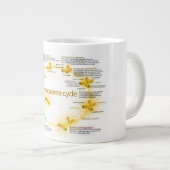 Schema van de centraalcyclus grote koffiekop (Voorkant rechts)