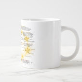 Schema van de centraalcyclus grote koffiekop (Rechts)