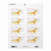 Schema van de dwarsdoorsnede van de botverbinding etiket (Full Sheet)