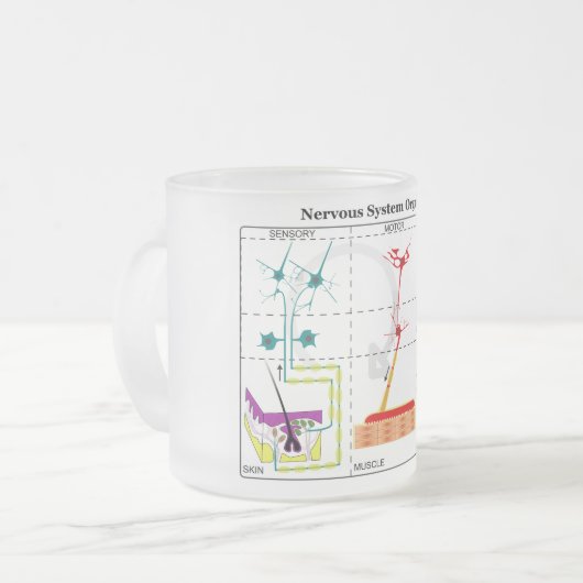Schema van de fundamentele functies van het zenuws matglas koffiemok (Voorkant links)