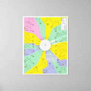 Schema van de genetische code met aminozuurresidue canvas afdruk