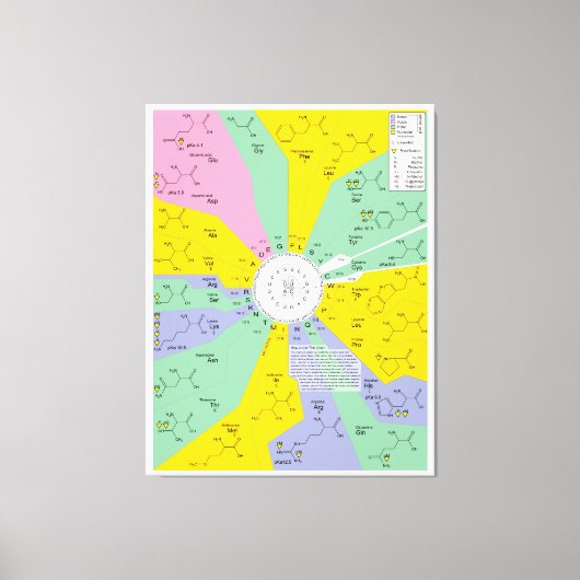 Schema van de genetische code met aminozuurresidue canvas afdruk (Voorkant)