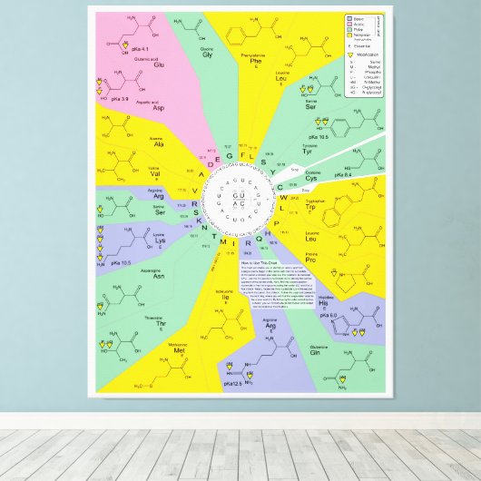 Schema van de genetische code met aminozuurresidue canvas afdruk (Insitu (Houten vloer))