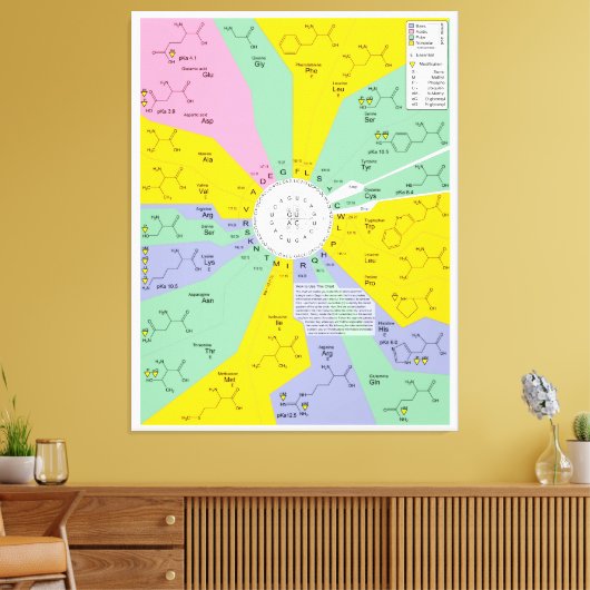 Schema van de genetische code met aminozuurresidue canvas afdruk (Insitu (Woonkamer))