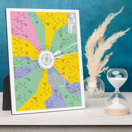 Schema van de genetische code met aminozuurresidue fotoplaat (Zijkant)