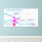 Schema van de gentranscriptiefactoren canvas afdruk (Insitu (Houten vloer))