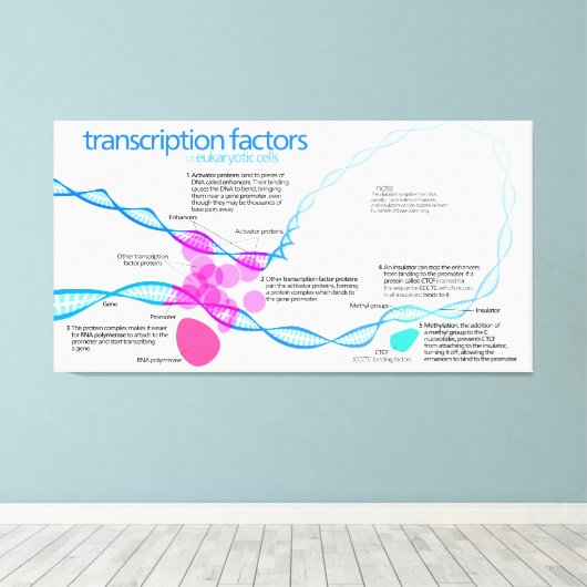 Schema van de gentranscriptiefactoren canvas afdruk (Insitu (Houten vloer))