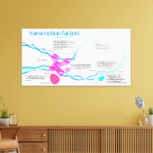 Schema van de gentranscriptiefactoren canvas afdruk (Insitu (Woonkamer))