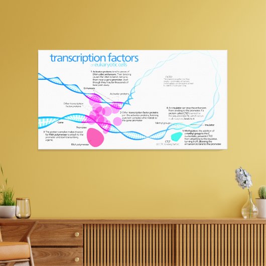 Schema van de gentranscriptiefactoren canvas afdruk (Insitu (Woonkamer))