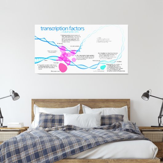 Schema van de gentranscriptiefactoren canvas afdruk (Insitu (Slaapkamer))