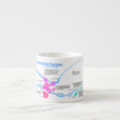 Schema van de gentranscriptiefactoren espresso kop (Voorkant)