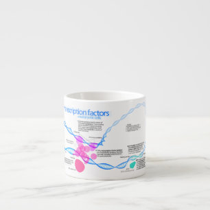 Schema van de gentranscriptiefactoren espresso kop