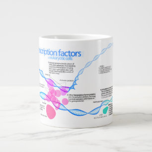 Schema van de gentranscriptiefactoren grote koffiekop