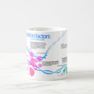 Schema van de gentranscriptiefactoren koffiemok