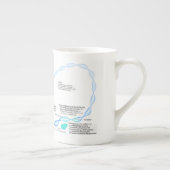 Schema van de gentranscriptiefactoren porselein kop (Rechts)