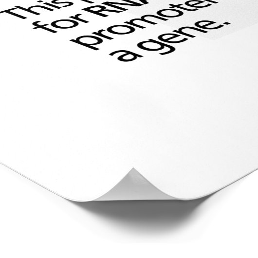 Schema van de gentranscriptiefactoren poster (Hoek)