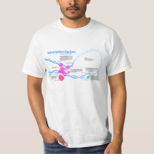 Schema van de gentranscriptiefactoren t-shirt