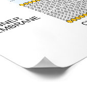 Schema van de Gram Negative Bacteria Cell Wall Poster (Hoek)