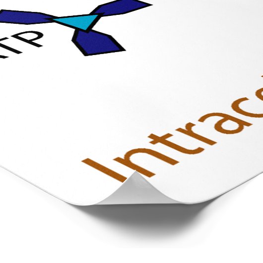 Schema van de kaliumpomp in natrium poster (Hoek)