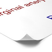 Schema van de kransslagaders van een menselijk har poster (Hoek)