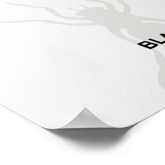 Schema van de levenscyclus van Onchocerca Volvulus Poster (Hoek)