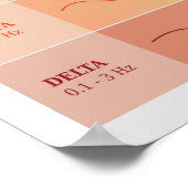 Schema van de menselijke breingolven - Poster van  (Hoek)