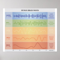 Schema van de menselijke breingolven - Poster van 
