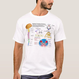 Schema van de menselijke wervelkolom t-shirt