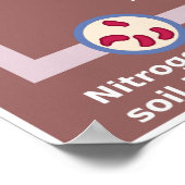 Schema van de stikstofcyclus van de aarde poster (Hoek)