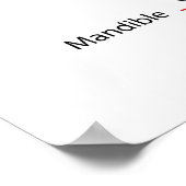 Schema van de volwassen mens poster (Hoek)