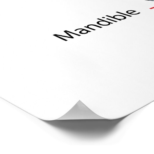 Schema van de volwassen mens poster (Hoek)