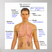Schema van de voornaamste symptomen van diabetes b poster (Voorkant)
