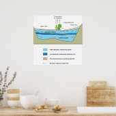 Schema van de wateractiviteit in een waterhoudende poster (Keuken)