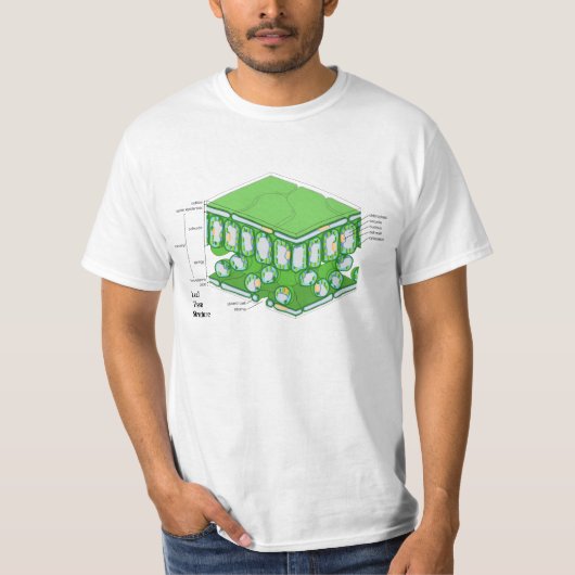 Schema van de weefselstructuur van leder t-shirt (Voorkant)