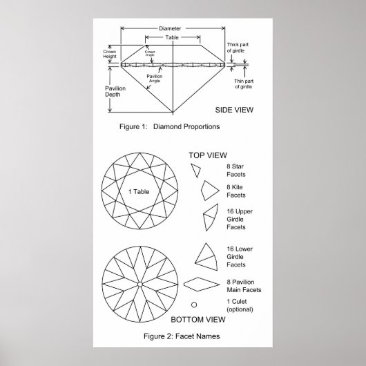 Schema van Diamond Cut Facets Proportions & Names Poster (Voorkant)