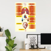 Schema van een amniotisch vochtembolie poster (Thuiskantoor)